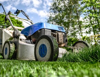 CHAUMERLIAC Denis  - Entretien des espaces verts 